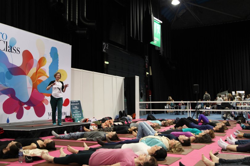 Awareness Through Movement yoga show 2016